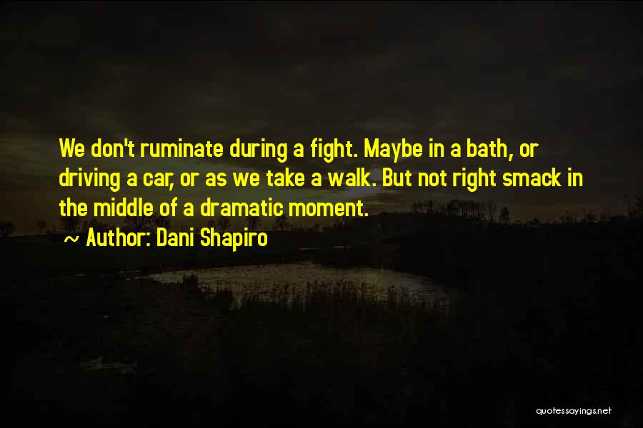Dani Shapiro Quotes: We Don't Ruminate During A Fight. Maybe In A Bath, Or Driving A Car, Or As We Take A Walk.