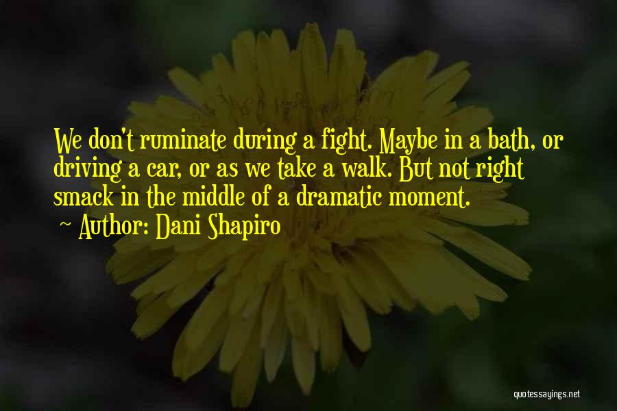Dani Shapiro Quotes: We Don't Ruminate During A Fight. Maybe In A Bath, Or Driving A Car, Or As We Take A Walk.