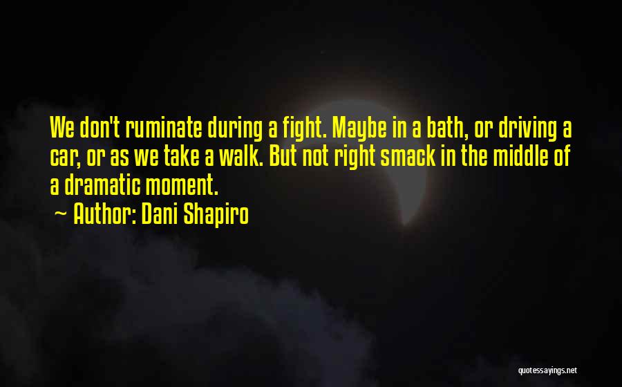 Dani Shapiro Quotes: We Don't Ruminate During A Fight. Maybe In A Bath, Or Driving A Car, Or As We Take A Walk.