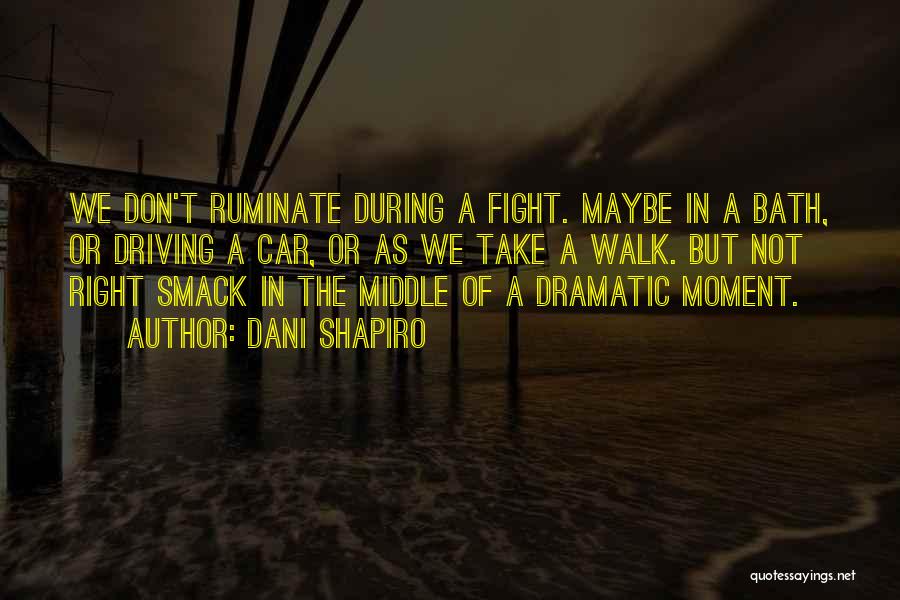 Dani Shapiro Quotes: We Don't Ruminate During A Fight. Maybe In A Bath, Or Driving A Car, Or As We Take A Walk.