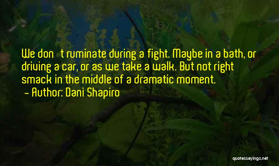 Dani Shapiro Quotes: We Don't Ruminate During A Fight. Maybe In A Bath, Or Driving A Car, Or As We Take A Walk.