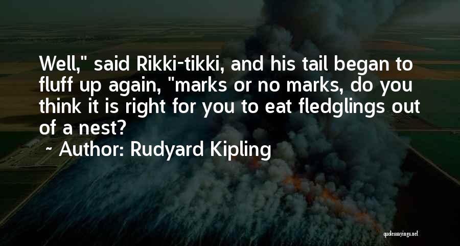 Rudyard Kipling Quotes: Well, Said Rikki-tikki, And His Tail Began To Fluff Up Again, Marks Or No Marks, Do You Think It Is