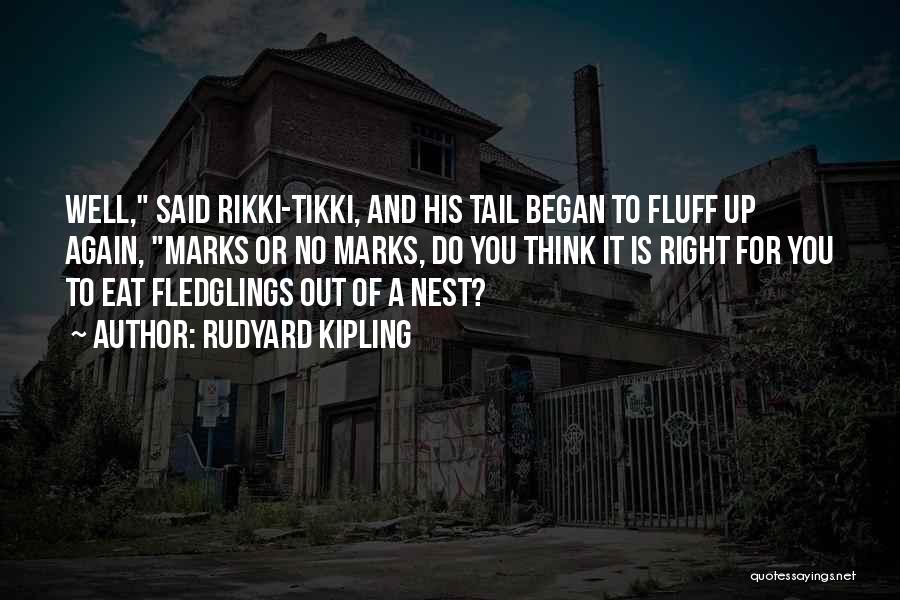 Rudyard Kipling Quotes: Well, Said Rikki-tikki, And His Tail Began To Fluff Up Again, Marks Or No Marks, Do You Think It Is