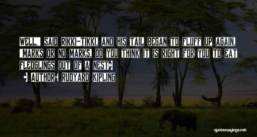 Rudyard Kipling Quotes: Well, Said Rikki-tikki, And His Tail Began To Fluff Up Again, Marks Or No Marks, Do You Think It Is