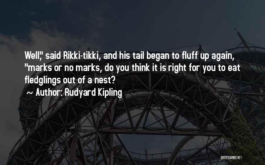 Rudyard Kipling Quotes: Well, Said Rikki-tikki, And His Tail Began To Fluff Up Again, Marks Or No Marks, Do You Think It Is