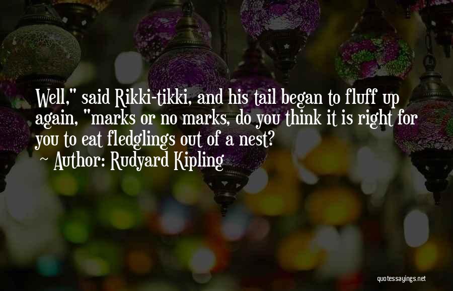 Rudyard Kipling Quotes: Well, Said Rikki-tikki, And His Tail Began To Fluff Up Again, Marks Or No Marks, Do You Think It Is