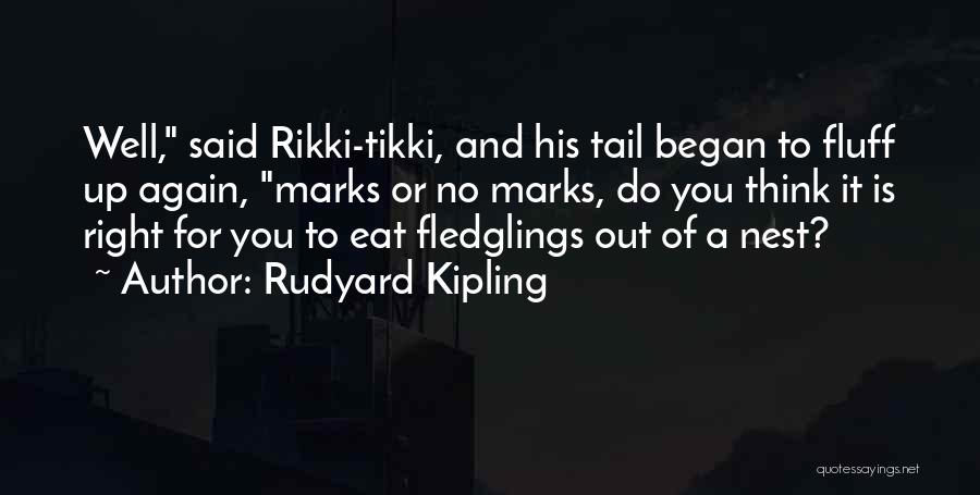 Rudyard Kipling Quotes: Well, Said Rikki-tikki, And His Tail Began To Fluff Up Again, Marks Or No Marks, Do You Think It Is