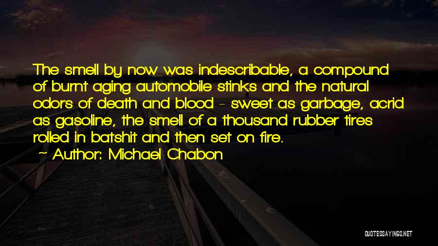 Michael Chabon Quotes: The Smell By Now Was Indescribable, A Compound Of Burnt Aging Automobile Stinks And The Natural Odors Of Death And