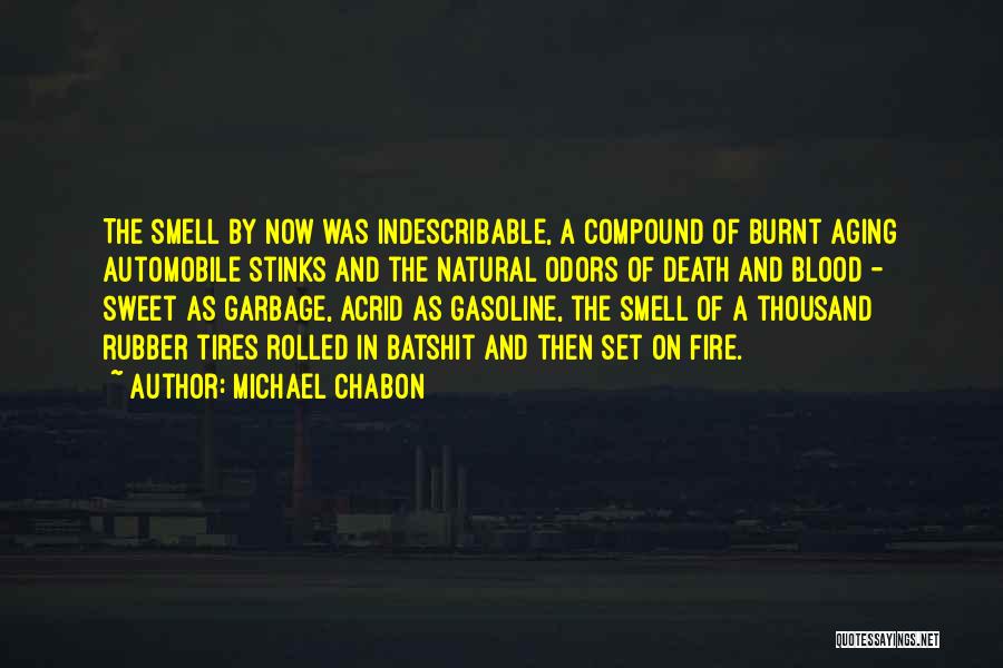 Michael Chabon Quotes: The Smell By Now Was Indescribable, A Compound Of Burnt Aging Automobile Stinks And The Natural Odors Of Death And
