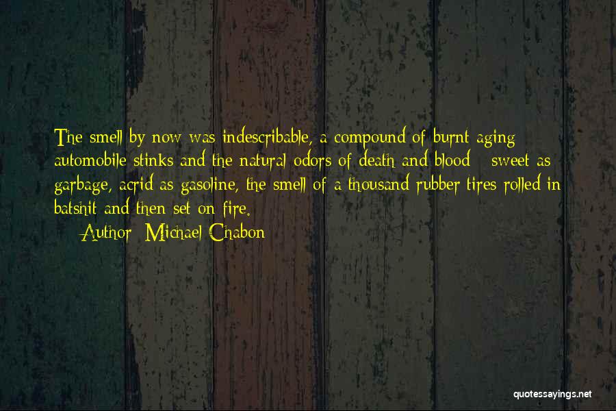 Michael Chabon Quotes: The Smell By Now Was Indescribable, A Compound Of Burnt Aging Automobile Stinks And The Natural Odors Of Death And