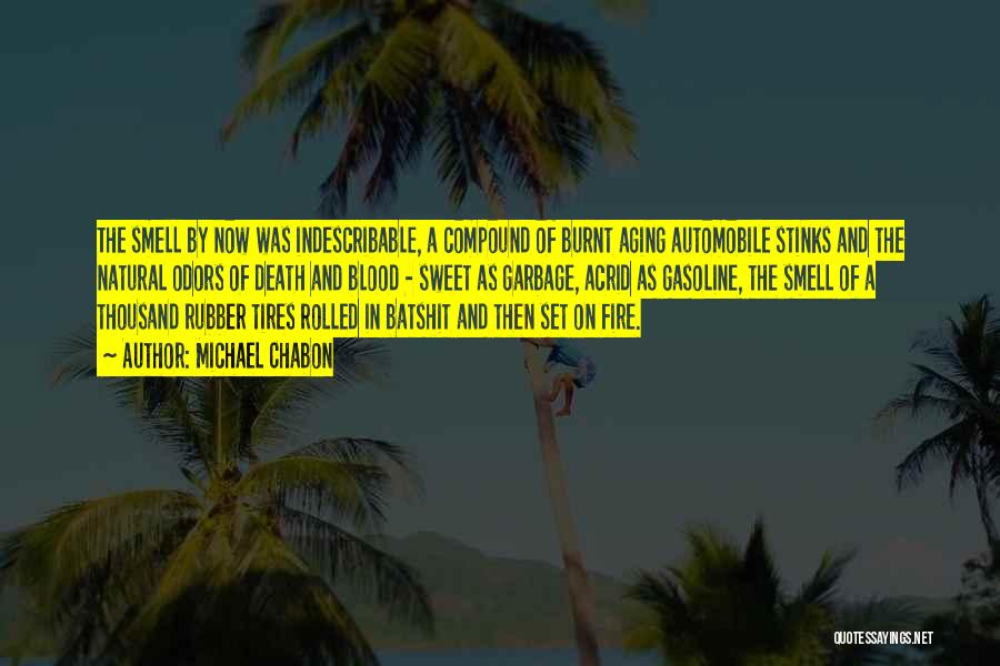 Michael Chabon Quotes: The Smell By Now Was Indescribable, A Compound Of Burnt Aging Automobile Stinks And The Natural Odors Of Death And