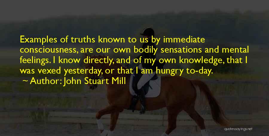 John Stuart Mill Quotes: Examples Of Truths Known To Us By Immediate Consciousness, Are Our Own Bodily Sensations And Mental Feelings. I Know Directly,