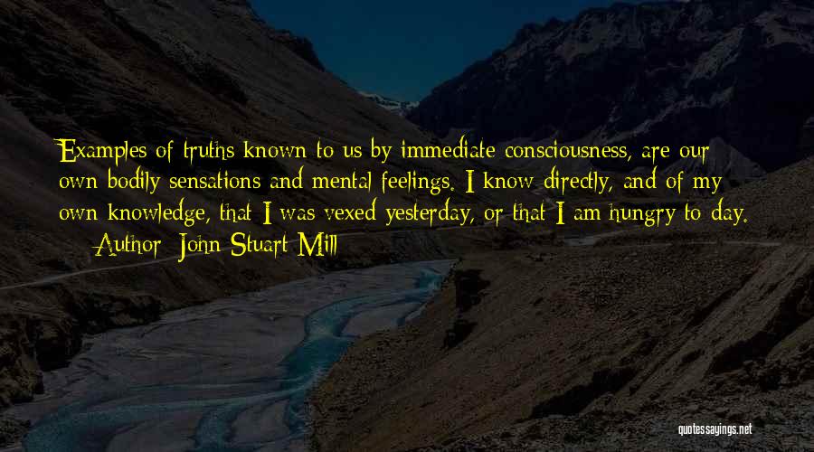 John Stuart Mill Quotes: Examples Of Truths Known To Us By Immediate Consciousness, Are Our Own Bodily Sensations And Mental Feelings. I Know Directly,