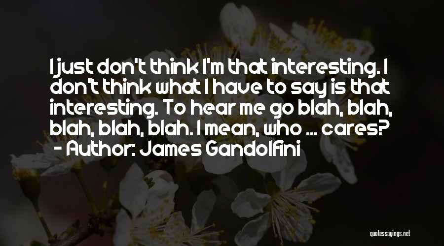 James Gandolfini Quotes: I Just Don't Think I'm That Interesting. I Don't Think What I Have To Say Is That Interesting. To Hear