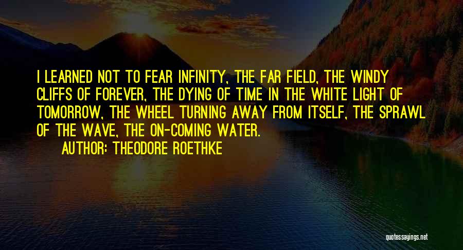 Theodore Roethke Quotes: I Learned Not To Fear Infinity, The Far Field, The Windy Cliffs Of Forever, The Dying Of Time In The