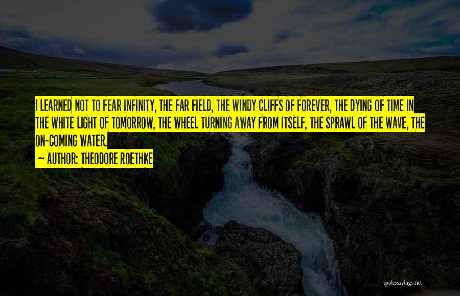 Theodore Roethke Quotes: I Learned Not To Fear Infinity, The Far Field, The Windy Cliffs Of Forever, The Dying Of Time In The