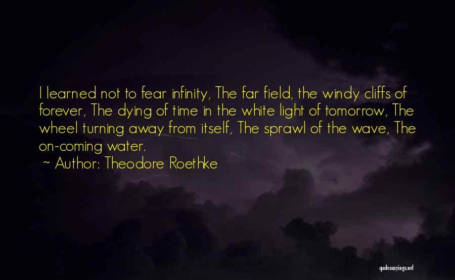 Theodore Roethke Quotes: I Learned Not To Fear Infinity, The Far Field, The Windy Cliffs Of Forever, The Dying Of Time In The