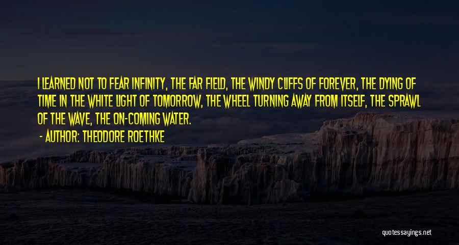 Theodore Roethke Quotes: I Learned Not To Fear Infinity, The Far Field, The Windy Cliffs Of Forever, The Dying Of Time In The