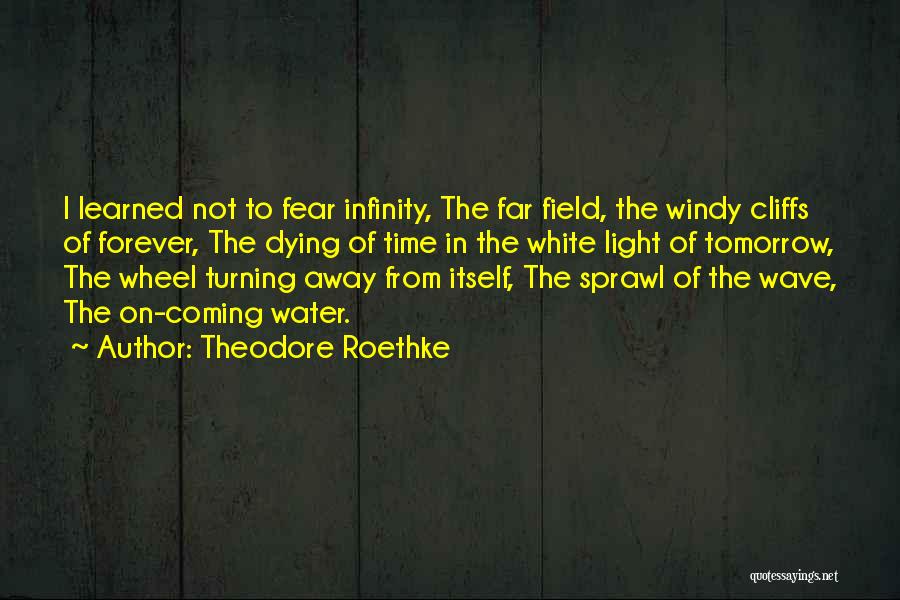 Theodore Roethke Quotes: I Learned Not To Fear Infinity, The Far Field, The Windy Cliffs Of Forever, The Dying Of Time In The