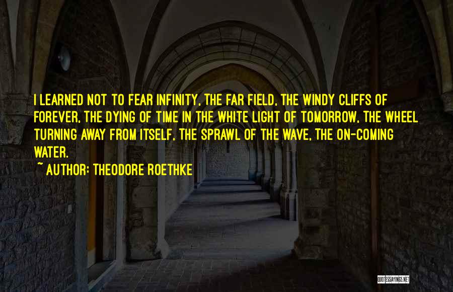 Theodore Roethke Quotes: I Learned Not To Fear Infinity, The Far Field, The Windy Cliffs Of Forever, The Dying Of Time In The