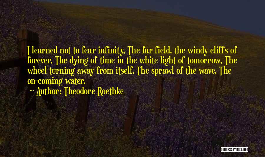 Theodore Roethke Quotes: I Learned Not To Fear Infinity, The Far Field, The Windy Cliffs Of Forever, The Dying Of Time In The