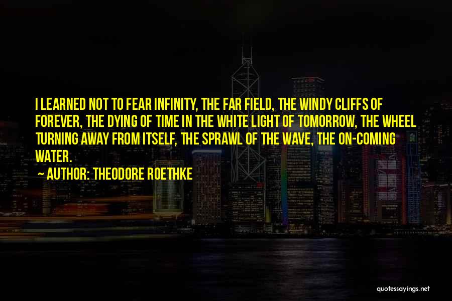 Theodore Roethke Quotes: I Learned Not To Fear Infinity, The Far Field, The Windy Cliffs Of Forever, The Dying Of Time In The