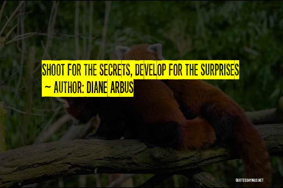 Diane Arbus Quotes: Shoot For The Secrets, Develop For The Surprises