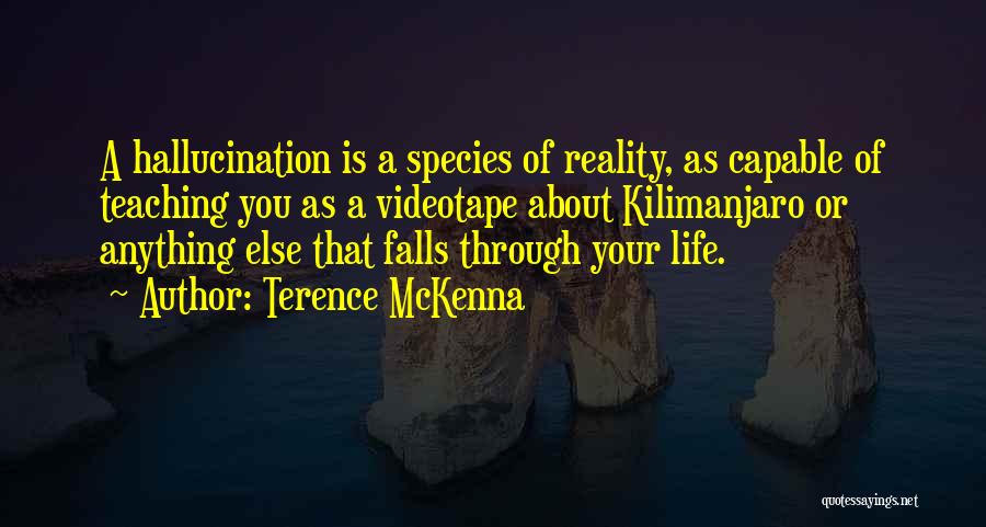 Terence McKenna Quotes: A Hallucination Is A Species Of Reality, As Capable Of Teaching You As A Videotape About Kilimanjaro Or Anything Else