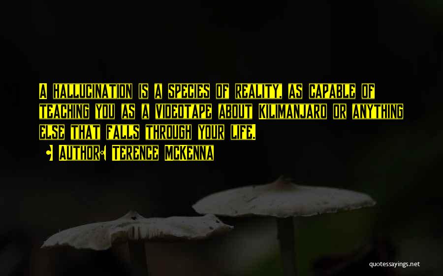 Terence McKenna Quotes: A Hallucination Is A Species Of Reality, As Capable Of Teaching You As A Videotape About Kilimanjaro Or Anything Else