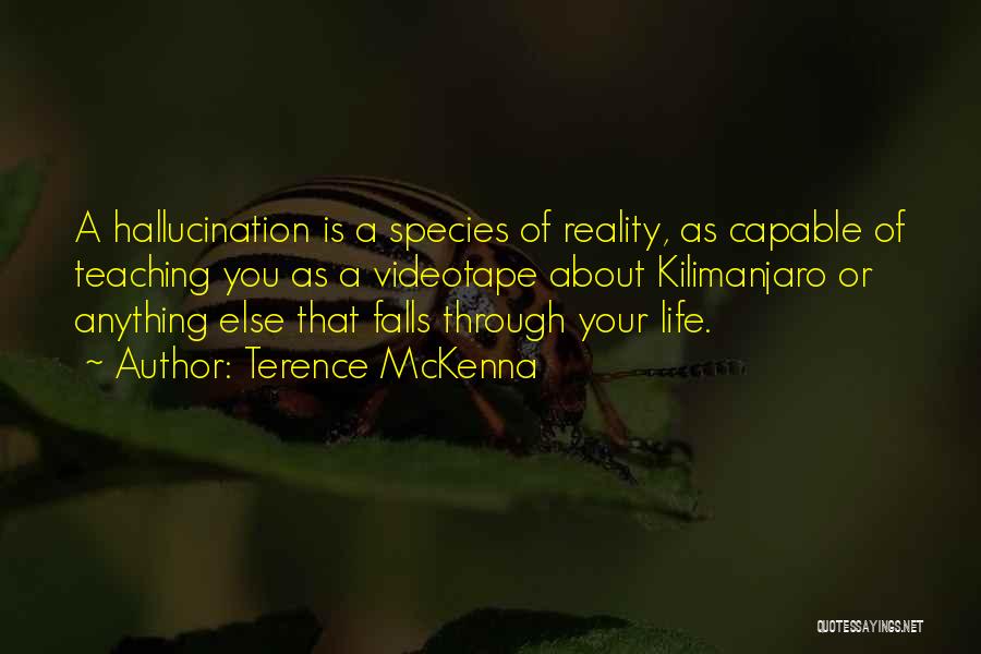 Terence McKenna Quotes: A Hallucination Is A Species Of Reality, As Capable Of Teaching You As A Videotape About Kilimanjaro Or Anything Else