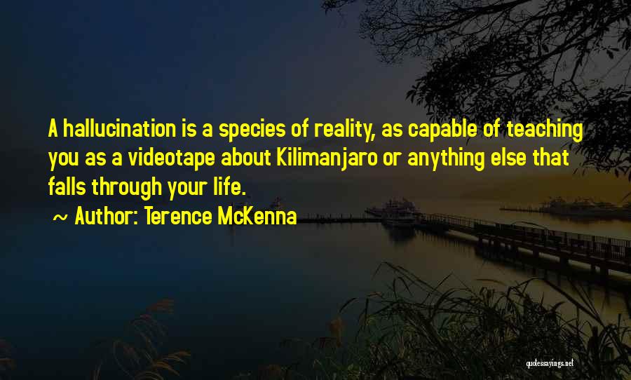 Terence McKenna Quotes: A Hallucination Is A Species Of Reality, As Capable Of Teaching You As A Videotape About Kilimanjaro Or Anything Else