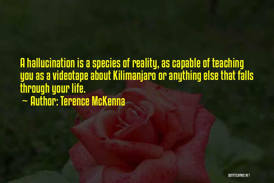 Terence McKenna Quotes: A Hallucination Is A Species Of Reality, As Capable Of Teaching You As A Videotape About Kilimanjaro Or Anything Else