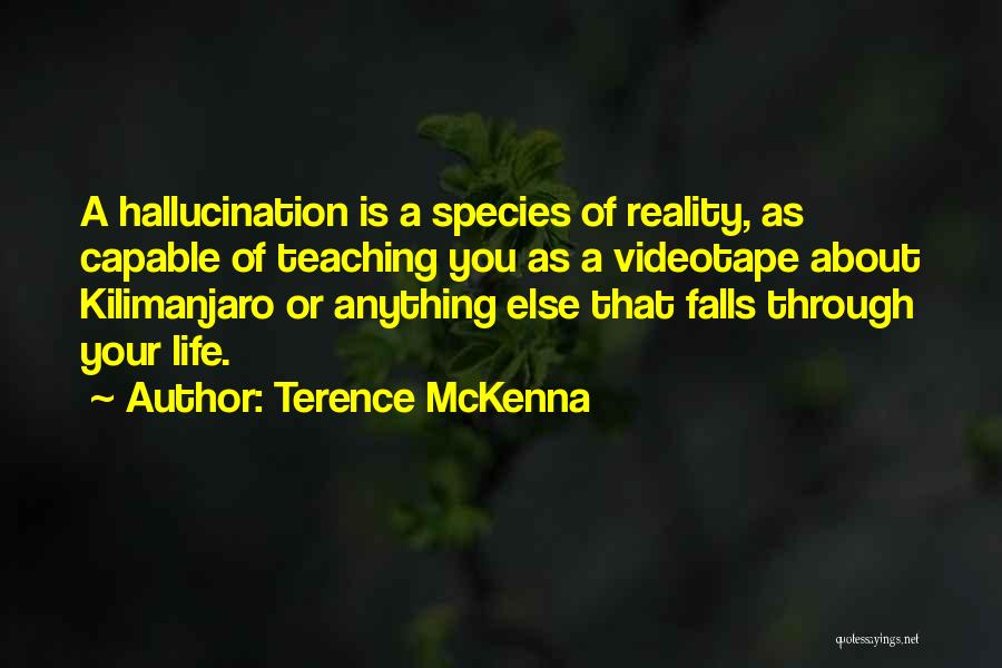 Terence McKenna Quotes: A Hallucination Is A Species Of Reality, As Capable Of Teaching You As A Videotape About Kilimanjaro Or Anything Else