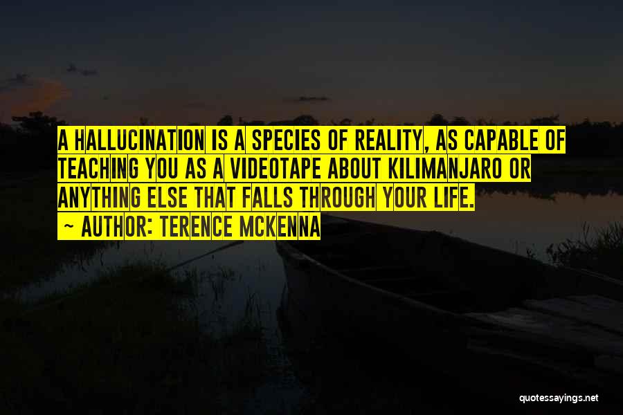 Terence McKenna Quotes: A Hallucination Is A Species Of Reality, As Capable Of Teaching You As A Videotape About Kilimanjaro Or Anything Else