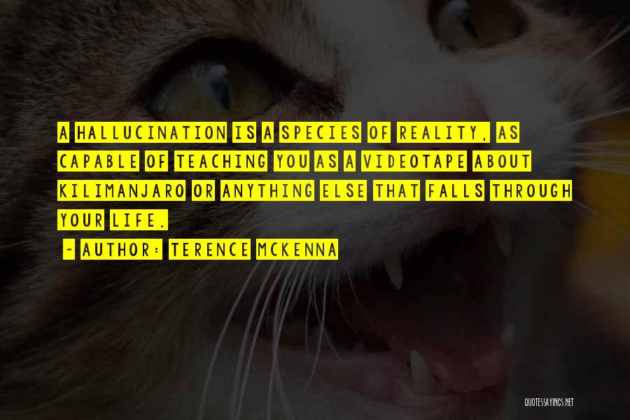 Terence McKenna Quotes: A Hallucination Is A Species Of Reality, As Capable Of Teaching You As A Videotape About Kilimanjaro Or Anything Else