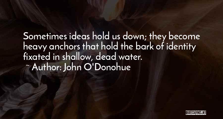 John O'Donohue Quotes: Sometimes Ideas Hold Us Down; They Become Heavy Anchors That Hold The Bark Of Identity Fixated In Shallow, Dead Water.