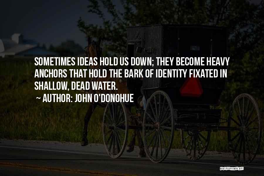 John O'Donohue Quotes: Sometimes Ideas Hold Us Down; They Become Heavy Anchors That Hold The Bark Of Identity Fixated In Shallow, Dead Water.