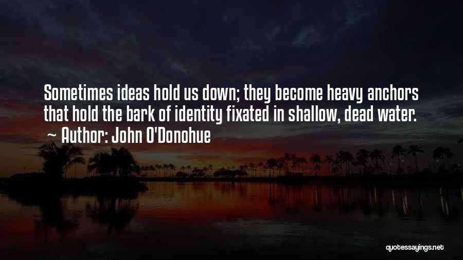 John O'Donohue Quotes: Sometimes Ideas Hold Us Down; They Become Heavy Anchors That Hold The Bark Of Identity Fixated In Shallow, Dead Water.