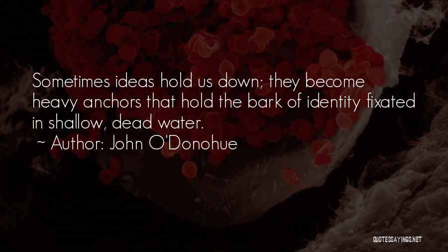John O'Donohue Quotes: Sometimes Ideas Hold Us Down; They Become Heavy Anchors That Hold The Bark Of Identity Fixated In Shallow, Dead Water.