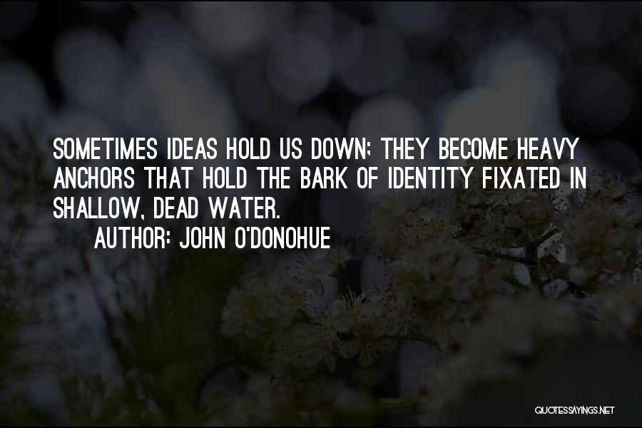 John O'Donohue Quotes: Sometimes Ideas Hold Us Down; They Become Heavy Anchors That Hold The Bark Of Identity Fixated In Shallow, Dead Water.