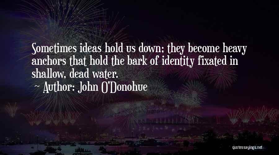 John O'Donohue Quotes: Sometimes Ideas Hold Us Down; They Become Heavy Anchors That Hold The Bark Of Identity Fixated In Shallow, Dead Water.