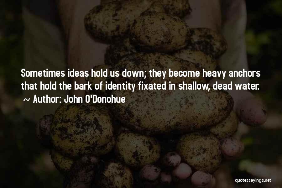 John O'Donohue Quotes: Sometimes Ideas Hold Us Down; They Become Heavy Anchors That Hold The Bark Of Identity Fixated In Shallow, Dead Water.