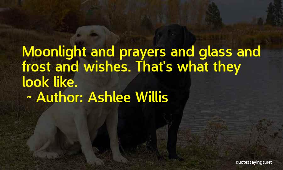 Ashlee Willis Quotes: Moonlight And Prayers And Glass And Frost And Wishes. That's What They Look Like.