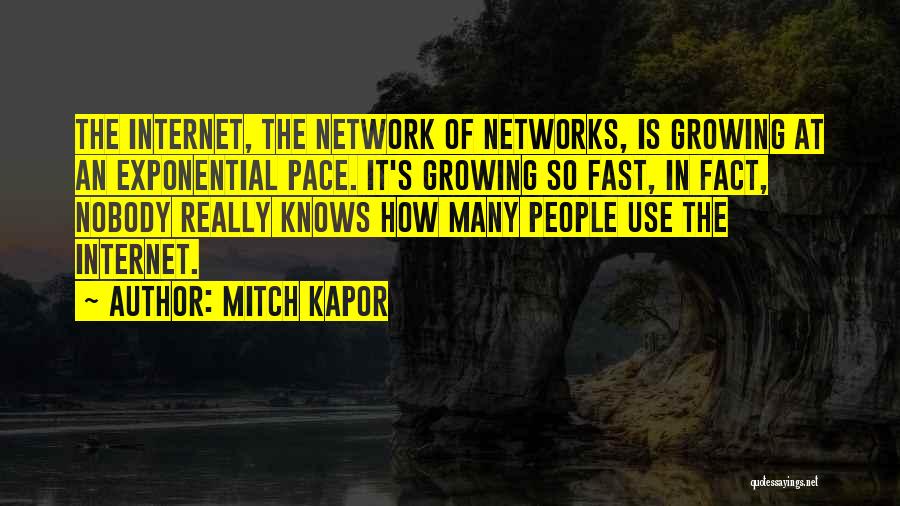 Mitch Kapor Quotes: The Internet, The Network Of Networks, Is Growing At An Exponential Pace. It's Growing So Fast, In Fact, Nobody Really