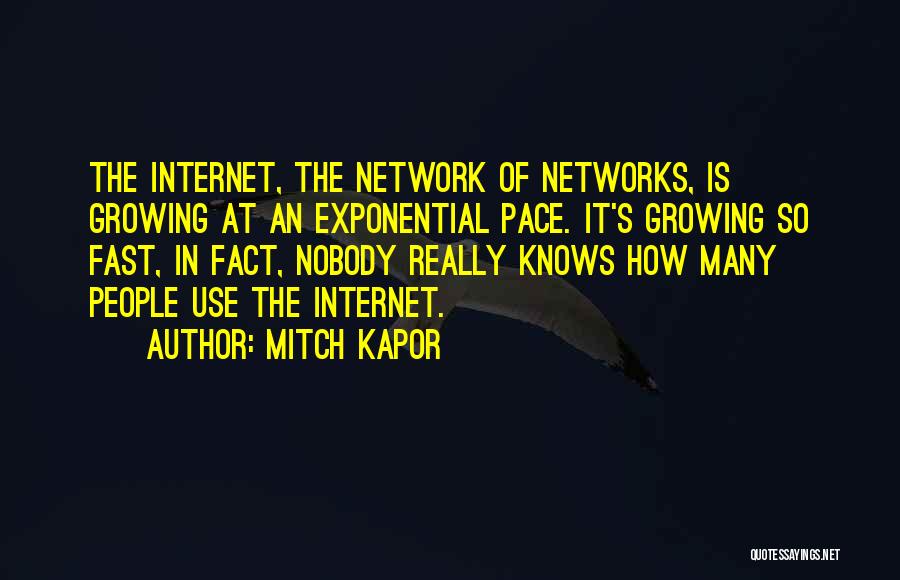 Mitch Kapor Quotes: The Internet, The Network Of Networks, Is Growing At An Exponential Pace. It's Growing So Fast, In Fact, Nobody Really