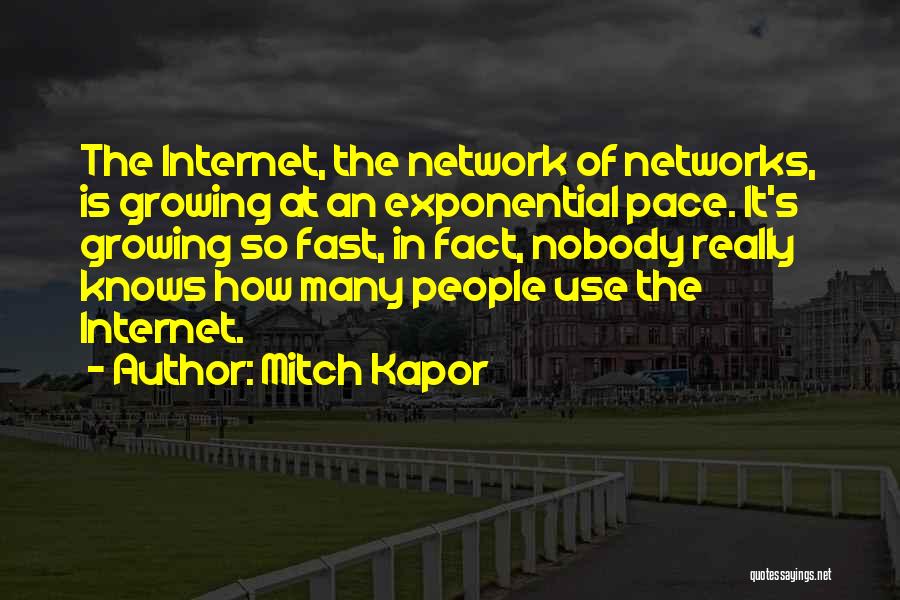 Mitch Kapor Quotes: The Internet, The Network Of Networks, Is Growing At An Exponential Pace. It's Growing So Fast, In Fact, Nobody Really