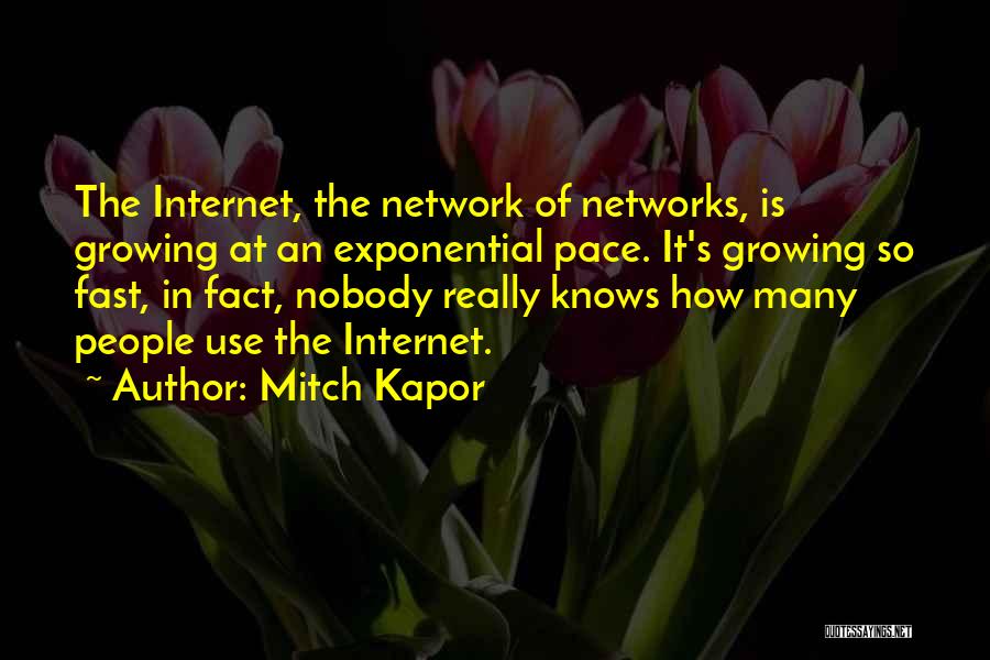Mitch Kapor Quotes: The Internet, The Network Of Networks, Is Growing At An Exponential Pace. It's Growing So Fast, In Fact, Nobody Really