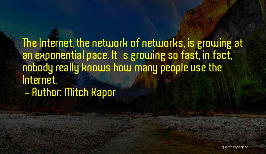 Mitch Kapor Quotes: The Internet, The Network Of Networks, Is Growing At An Exponential Pace. It's Growing So Fast, In Fact, Nobody Really