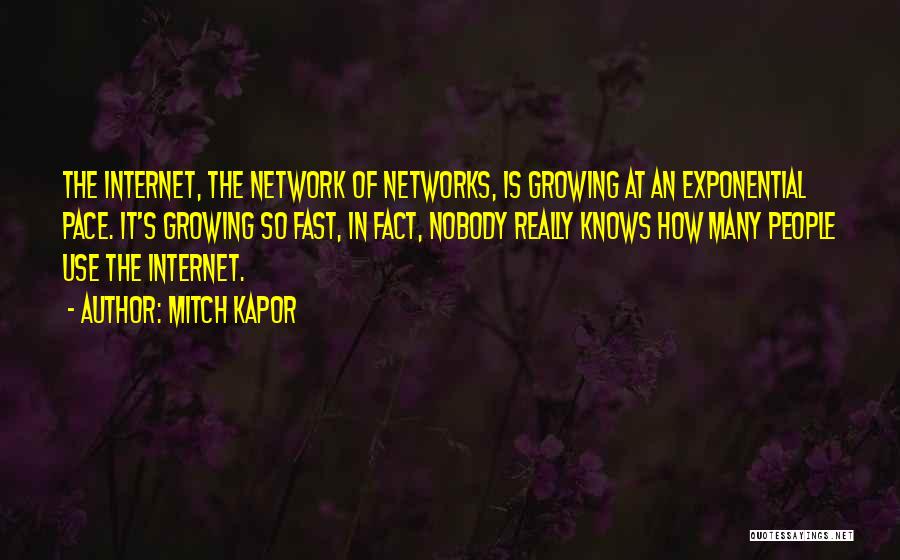 Mitch Kapor Quotes: The Internet, The Network Of Networks, Is Growing At An Exponential Pace. It's Growing So Fast, In Fact, Nobody Really