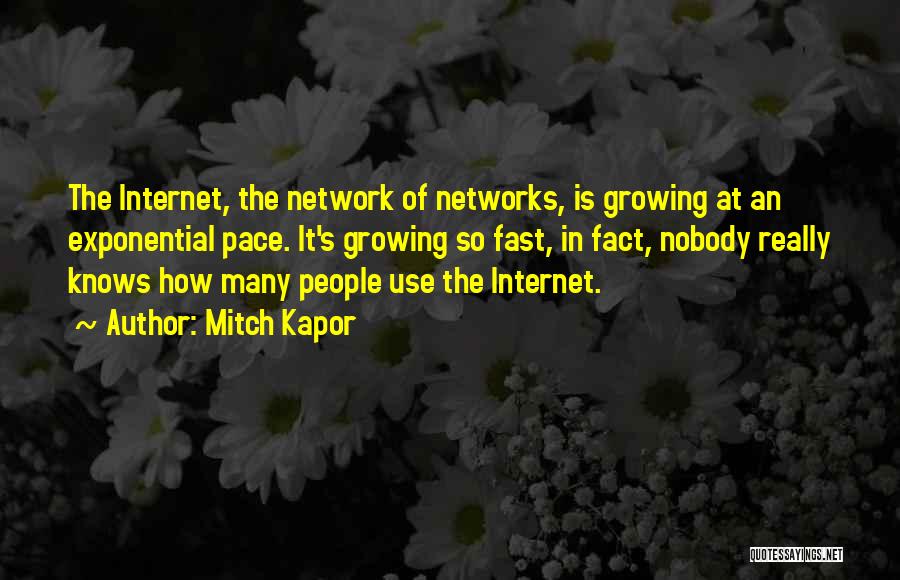 Mitch Kapor Quotes: The Internet, The Network Of Networks, Is Growing At An Exponential Pace. It's Growing So Fast, In Fact, Nobody Really